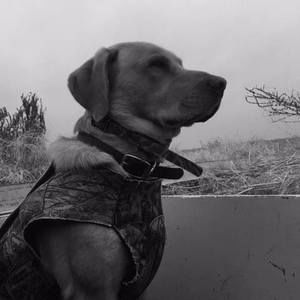 Meet your Posher, Tom